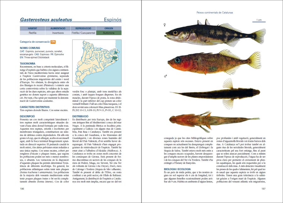 Peixos continentals de Catalunya sample page